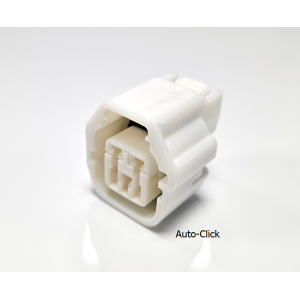 MG641362